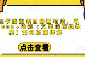小红书虚拟项目最新玩法，单天1000+纯利（又是保姆级教程文档）