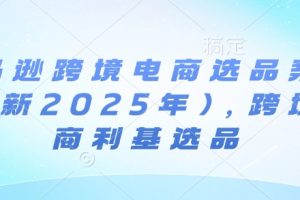 亚马逊跨境电商选品案例(更新2025年3月)，跨境电商利基选品
