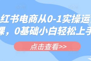 小红书电商从0-1实操运营课，0基础小白轻松上手