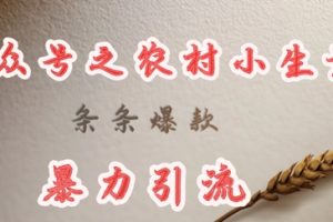 deepseek写农村小项目，条条爆款，暴力引流