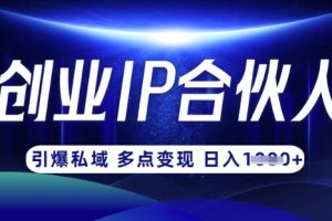 云帆·创业ip合伙人打造3.0，从0到1教你做网创，实现月入过W