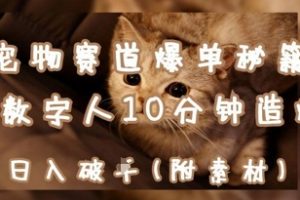 宠物赛道爆单秘籍：AI+数字人10分钟造爆款，日入1k