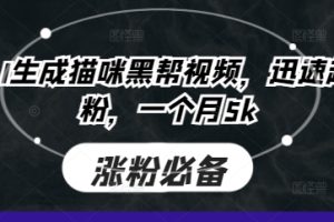 即梦AI生成猫咪黑帮视频，迅速起号涨粉，一个月5k