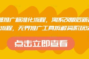 淘系运营推广标准化流程，淘系改版后新品布局全流程，无界推广工具拆解高阶玩法