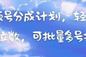 视频号分成计划，轻松日入三位数，可批量多号操作
