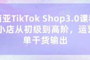 东南亚TikTok Shop3.0课程，TK小店​从初级到高阶，运营出单干货输出