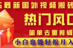 2025最新视频搬砖项目，热门风口，简单去重剪辑，小白也能轻松月入过W