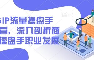 2025IP流量操盘手训练营，深入剖析商业IP操盘手职业发展（更新）