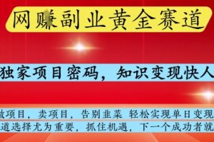 网创副业黄全赛道，掌握独家项目密码，知识变现快人一步，告别韭菜轻松实现单日变现1k+【揭秘】