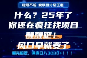 什么？25年你还在疯狂找项目做，醒醒吧，看完这些你全都懂了！【揭秘】