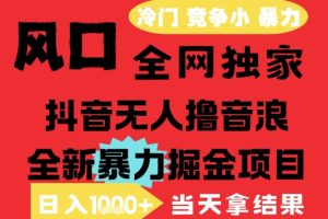 25年6月高爆抖音无人直播最新撸音浪掘金项目，解放双手小白可做，无脑日入1k+，门槛低【揭秘】