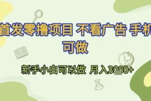 首发零撸项目 不看广告 手机可做 新手小白可以做  月入3k+【揭秘】