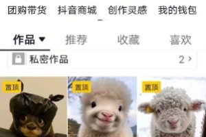 抖音65W博主AI萌宠课程，新赛道流量大，原创+二创，全套课程+提示词