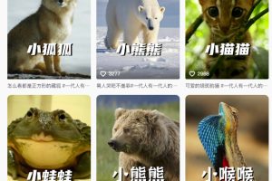 最新搞笑动物百科详细解说课程，蓝海赛道，流量非常大，轻松签独家进精选