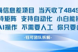蓝海信息差项目当天收米1k+ 支持矩阵支持自动化小白能操作全程AI操作不需要人工你只要会电脑