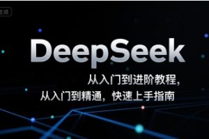 DeepSeek从入门到进阶教程，从入门到精通，快速上手指南