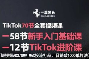 TikTok全套视频课，新手入门+进阶课，短视频ADS-GMV MAX投流打品，日销破1000单打法