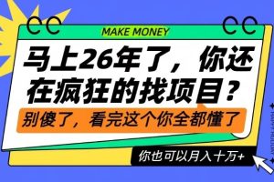 26年了，不要再疯狂的找项目了，看完这个你也可以月入十个W【揭秘】
